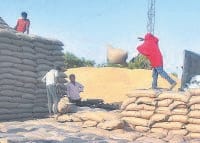 farmmer, mandi, wheat, aadhati, promlem in jhajjar mandi