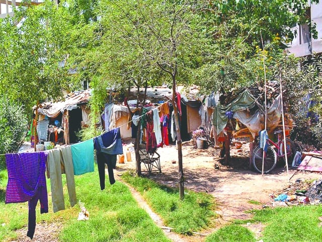 Orchards in the impoverished city park