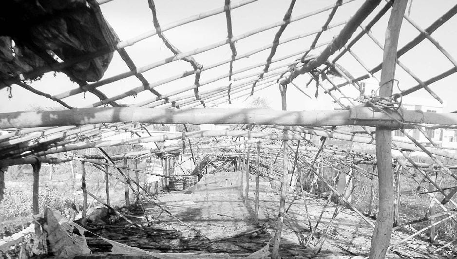 Fire at poultry farm, 3.5 Lakhs loss