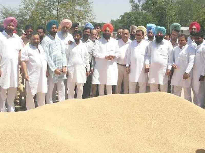 mandi visit, partap singh bajwa, demand for cbi investigation, gurdaspur
