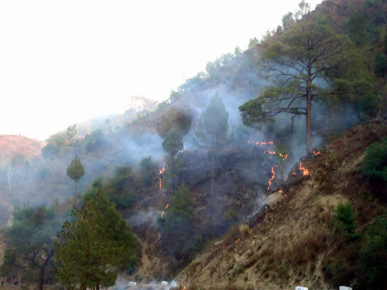 fire in chamba forest