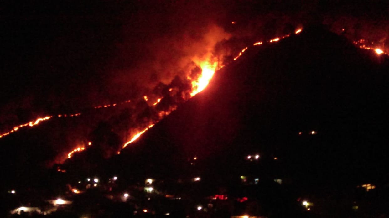 fire in the forest of uttarakhand hill area.