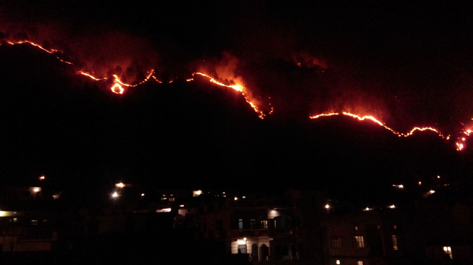 fire in the forest of uttarakhand hill area.