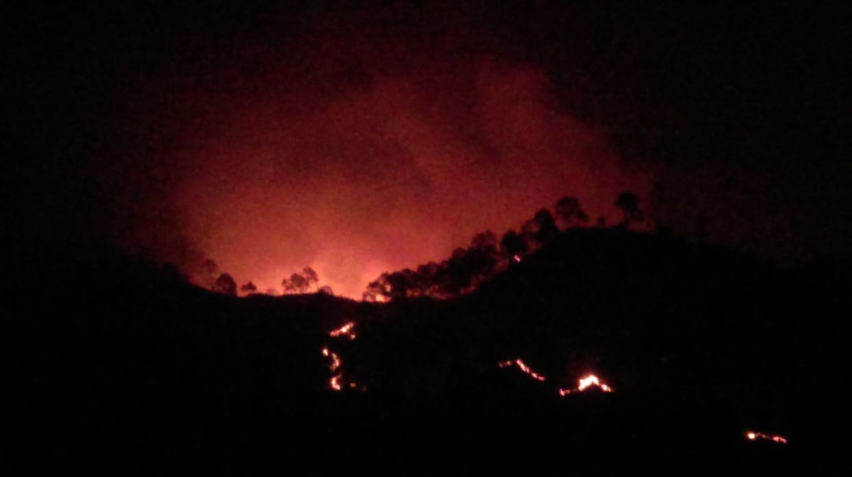 old man burn in fire of forest, died,