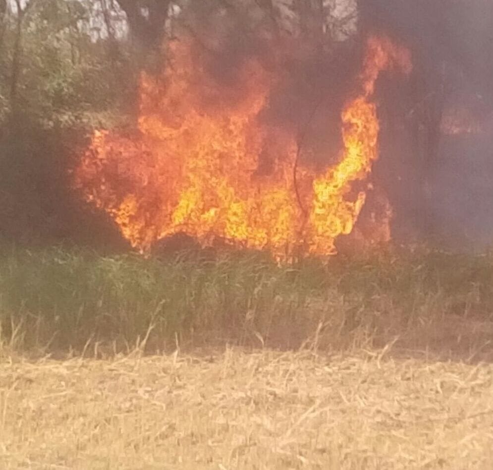 35 shanty houses burned by fire and cast