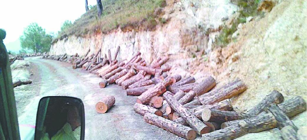 Roadside Gilte are courting disaster