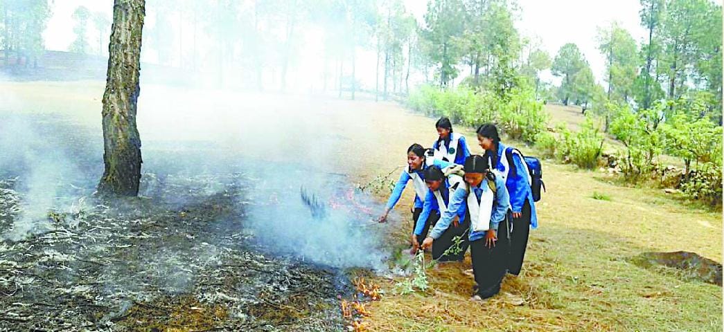 Getting uncontrollable forest fire, heavy damage
