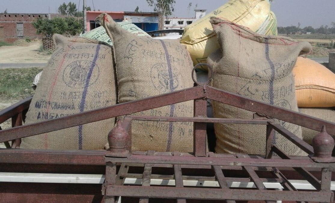 Villagers going to sell grain caught