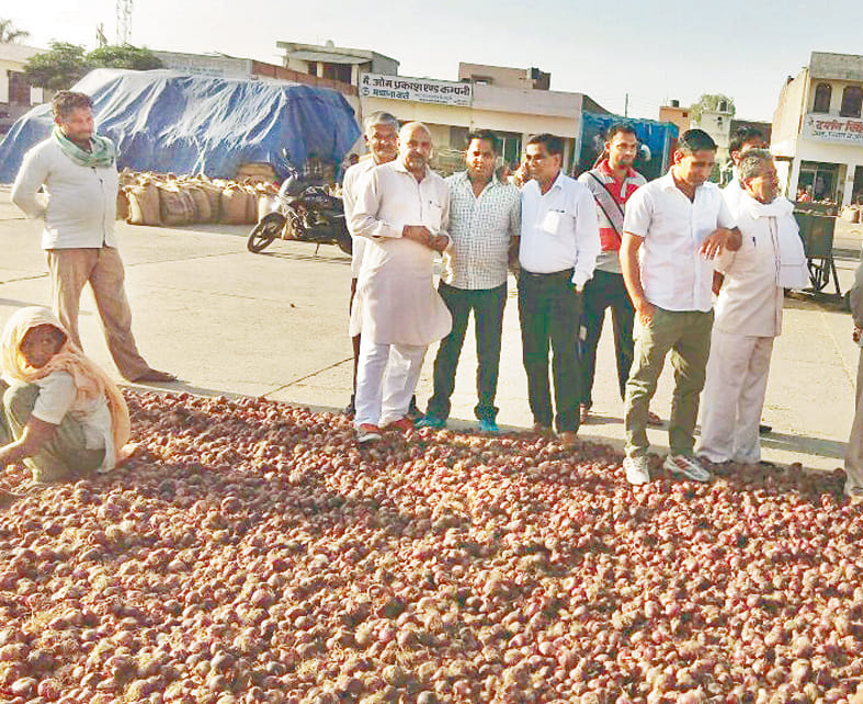 onion,crop,recession,problem, farmars, kurukshetra, harayana