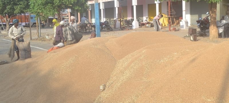 The snag in the purchase of wheat quality