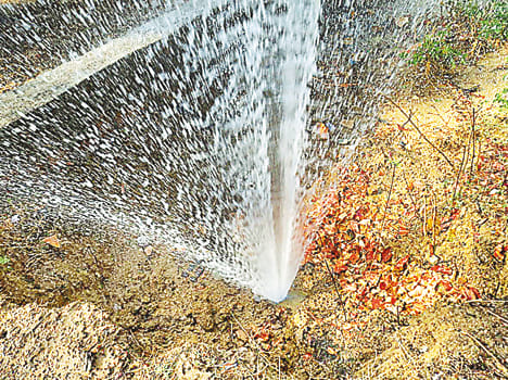 Shedding thousands of liters of water in four hours