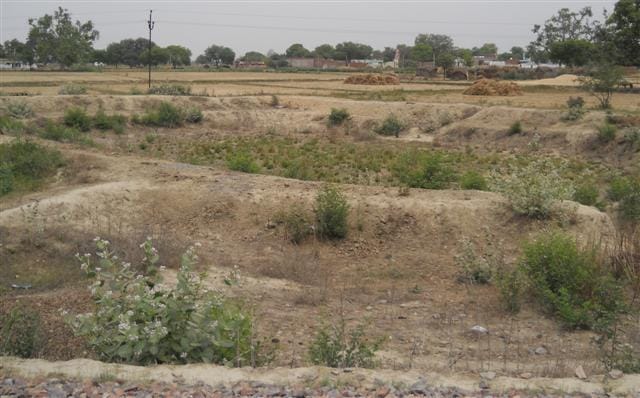 Like how Thamegi decline in groundwater levels ?