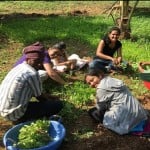  income from agriculture kept out from gst, newspapers to have to registered says adhia