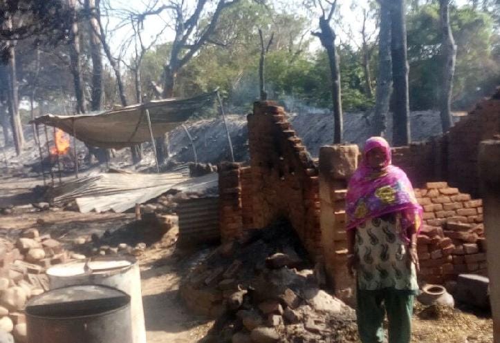 house burnt in jungle fire