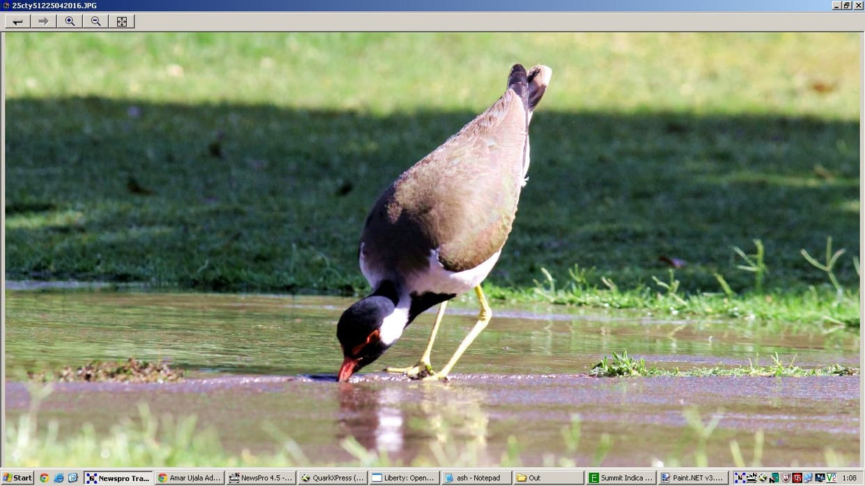 weather, chandigarh weather, weather report, weather deptt, chandigarh