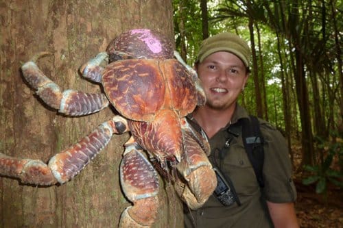 bizarre  animals you might not have seen