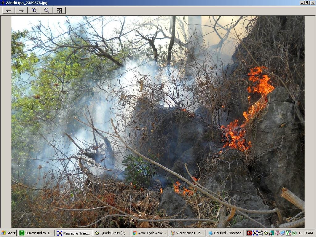 Naina ten wheat farm in the village of fire erupted ash