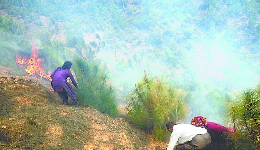 Population drained forest fires
