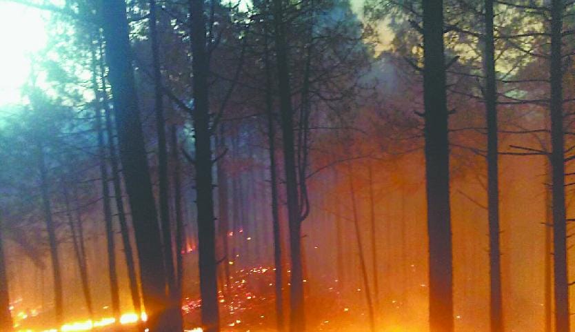 One's neck, fire, farmer, cases, Sangrur