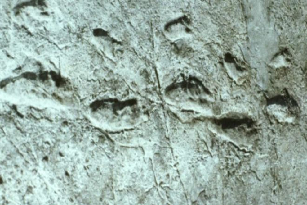 earth prehistoric footprints