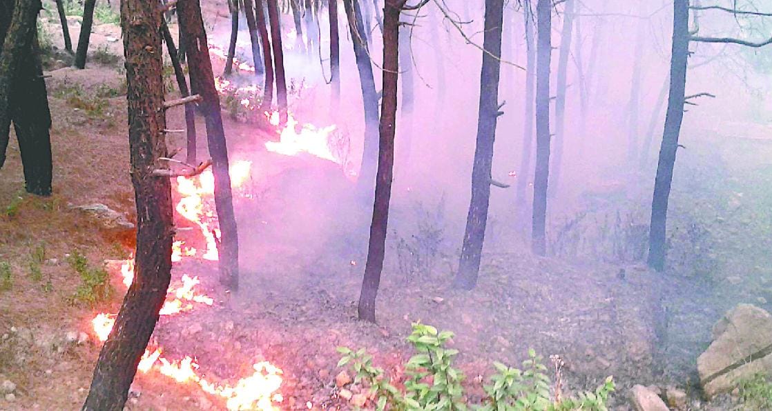 Forest guard have no fire equipment