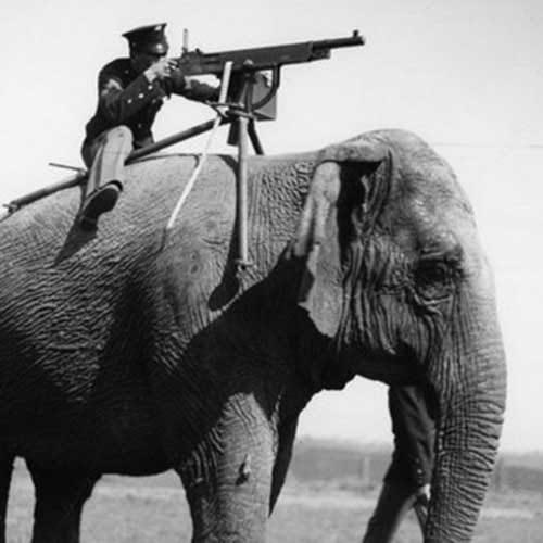 Never seen  historic pictures