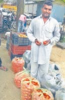 fatehabad news, hindi news,vegetable