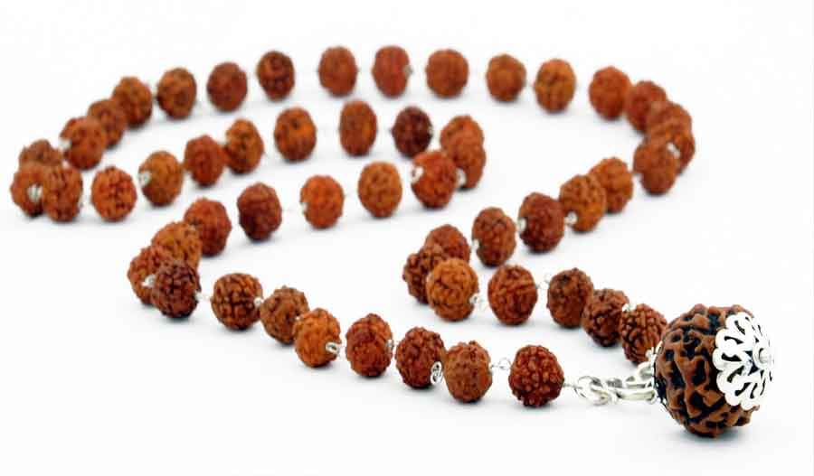 know the importance of rudraksha and benefit of wearing which type of rudraksha