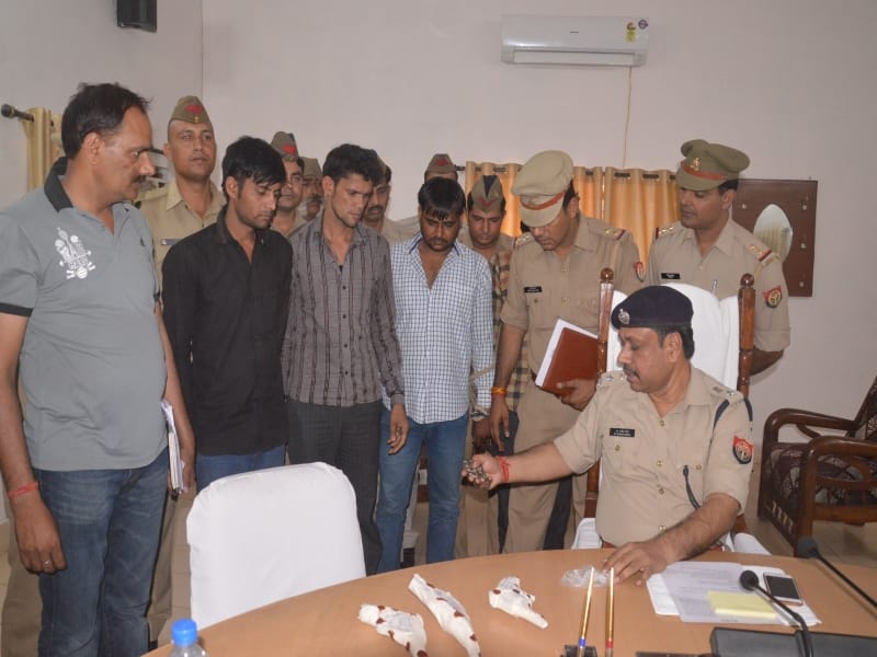 robbers arrested in mathura