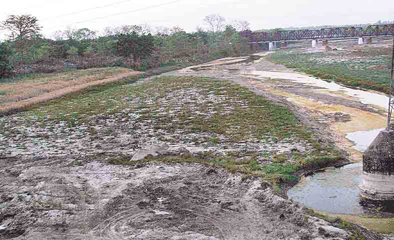 canal was not getting water from Utarkhand