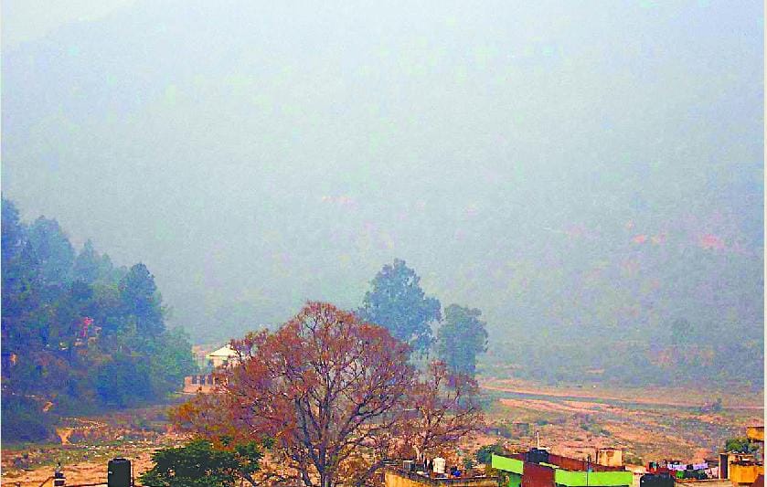 Binsar Sanctuary also on fire, forest damage