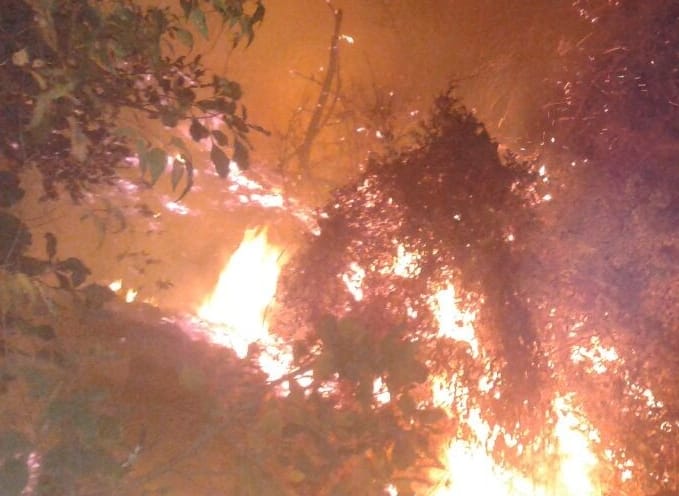 Cowshed fire reached