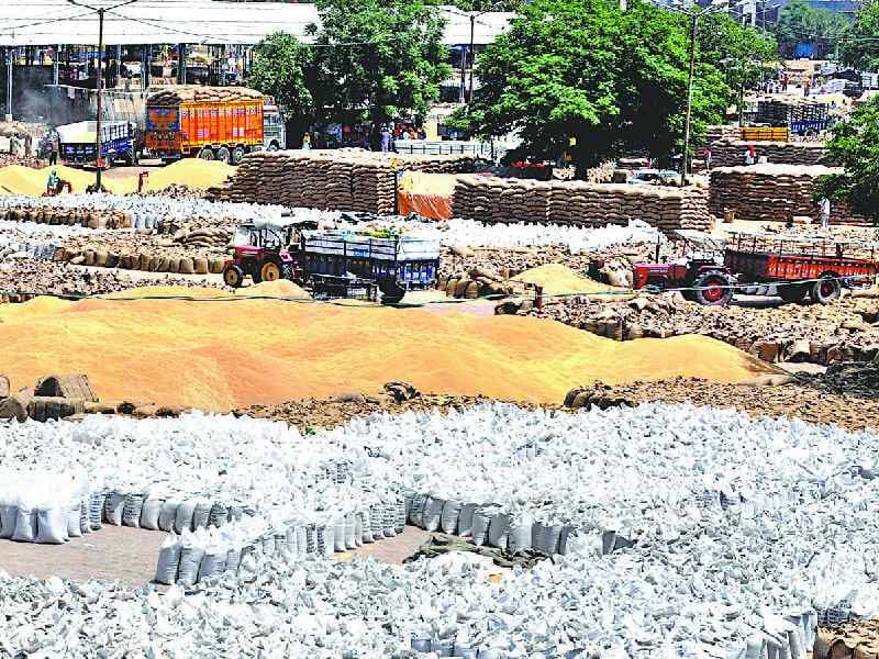 wheat lifting late, farmer in problem, bhagtan wala dana mandi, amritsar 