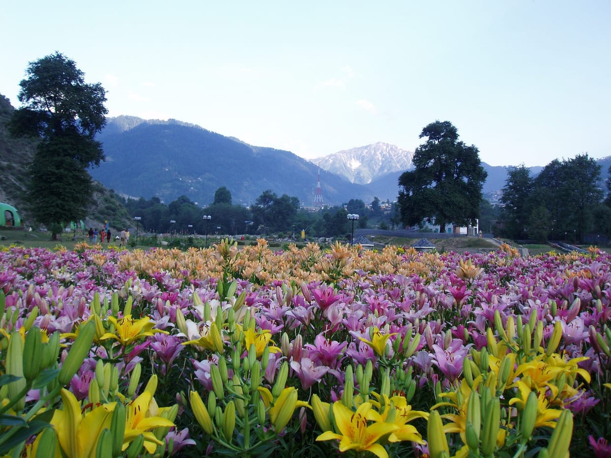 bhaderwah is mini switzerland of jammu and kashmir