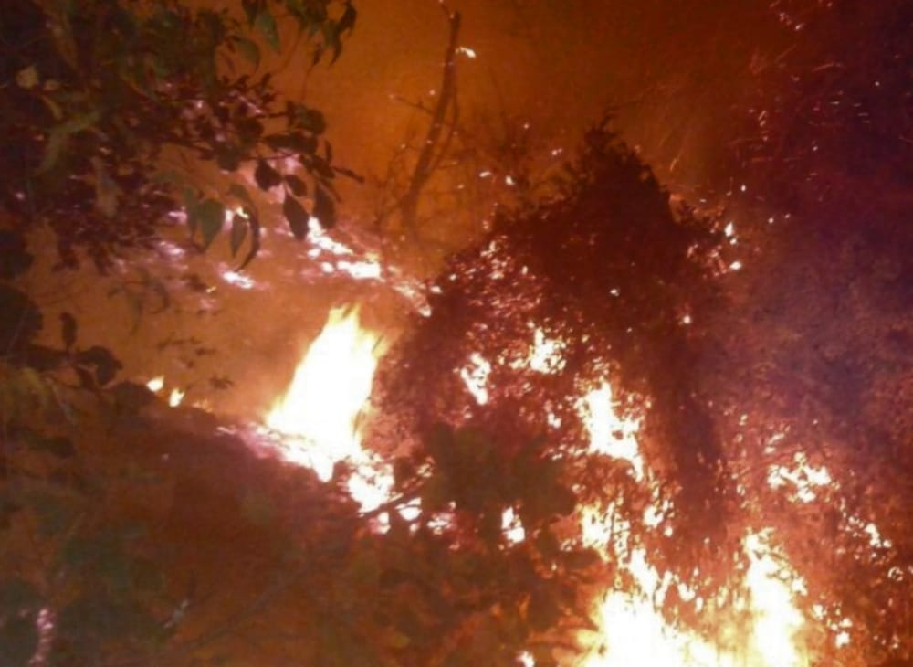 forest fires reached near to Army Arsenal at tehri