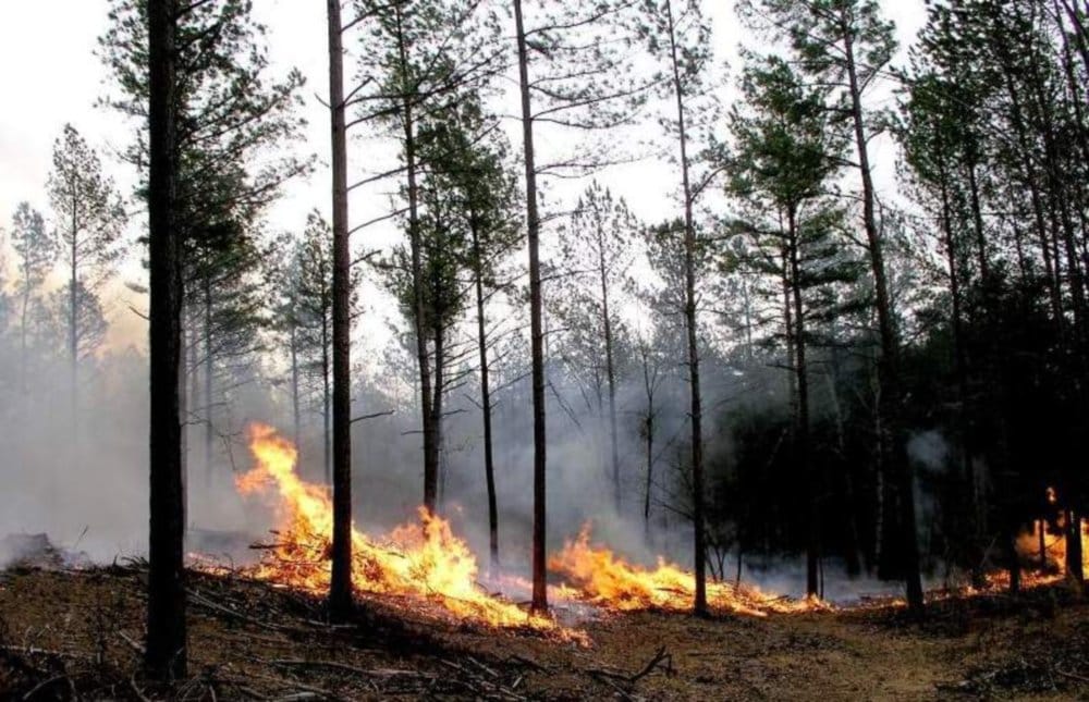 forest fires reached near to Army Arsenal at tehri