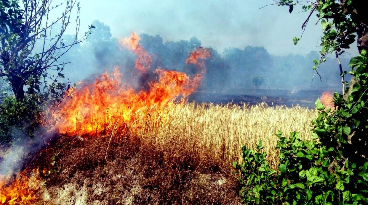 fire in rishikesh 