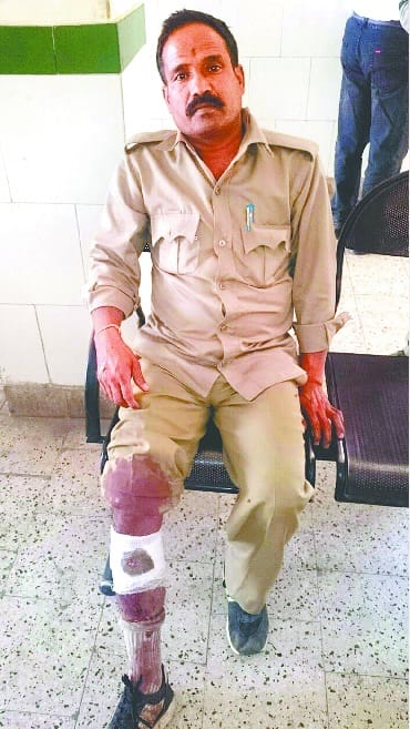 smugglers attacked forest employee with bladed weapon 