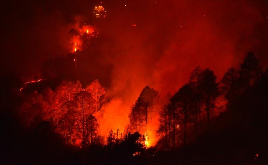 forest Fire nainital