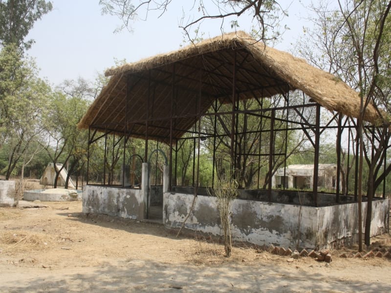 development of forest range in mathura