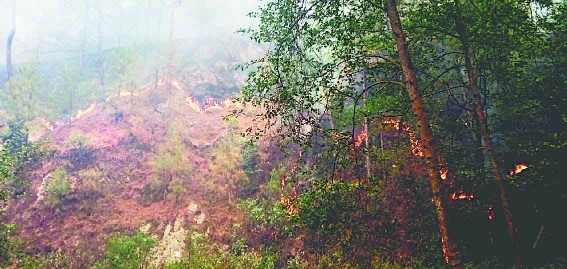 Lohaghat burning forest