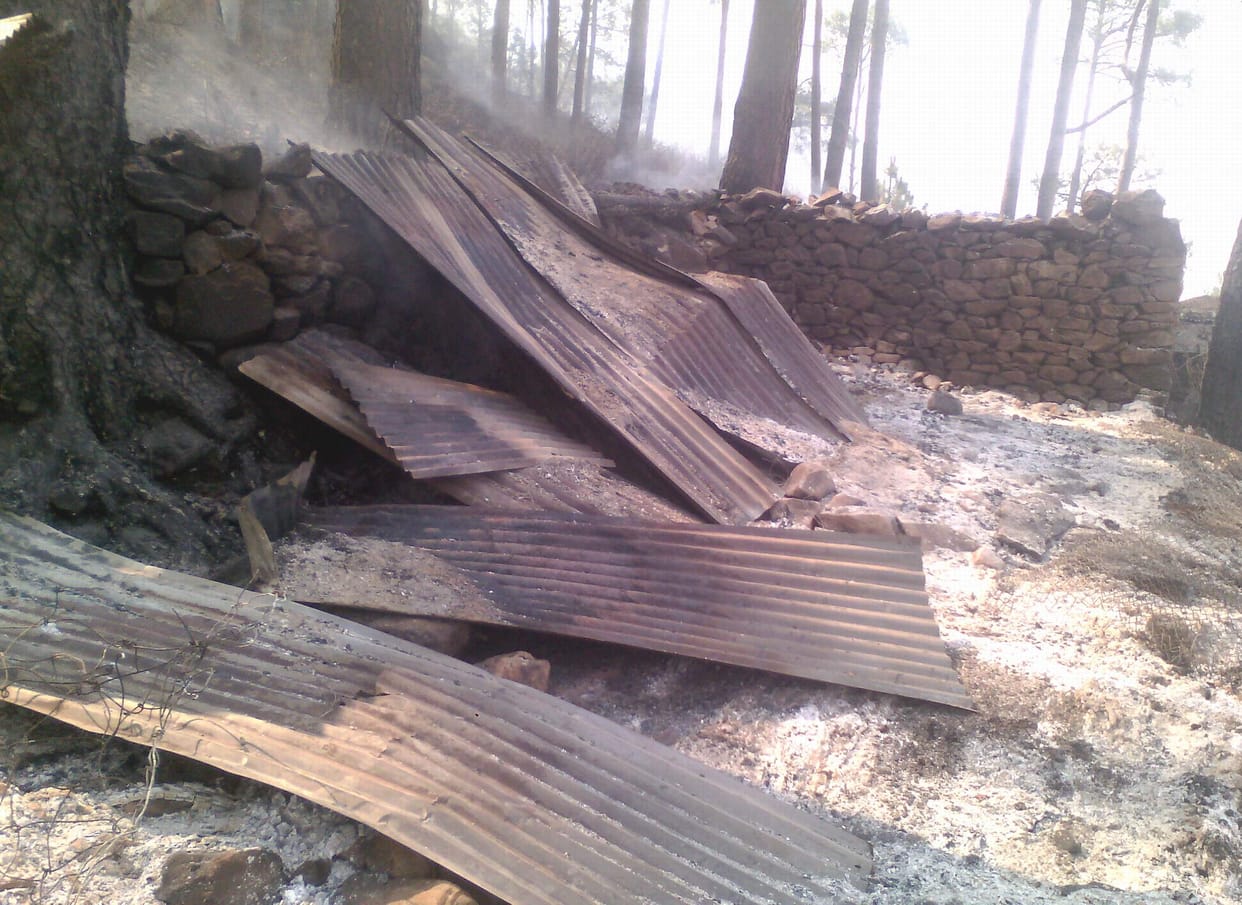 Wildfire ash filtered pulse village