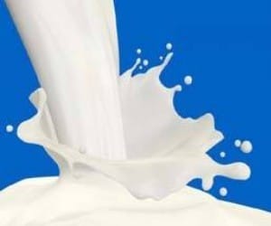 milk samples failed