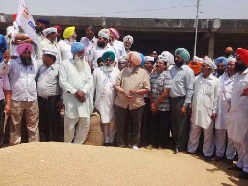 wheat mandi, visit, sucha singh chhotepur, agriculture, gurdaspur