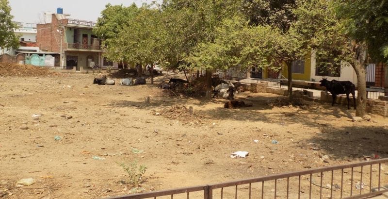 Greenery in parks instead of the garbage dump