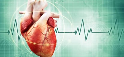 Indore's brain dead boy gave life to four people