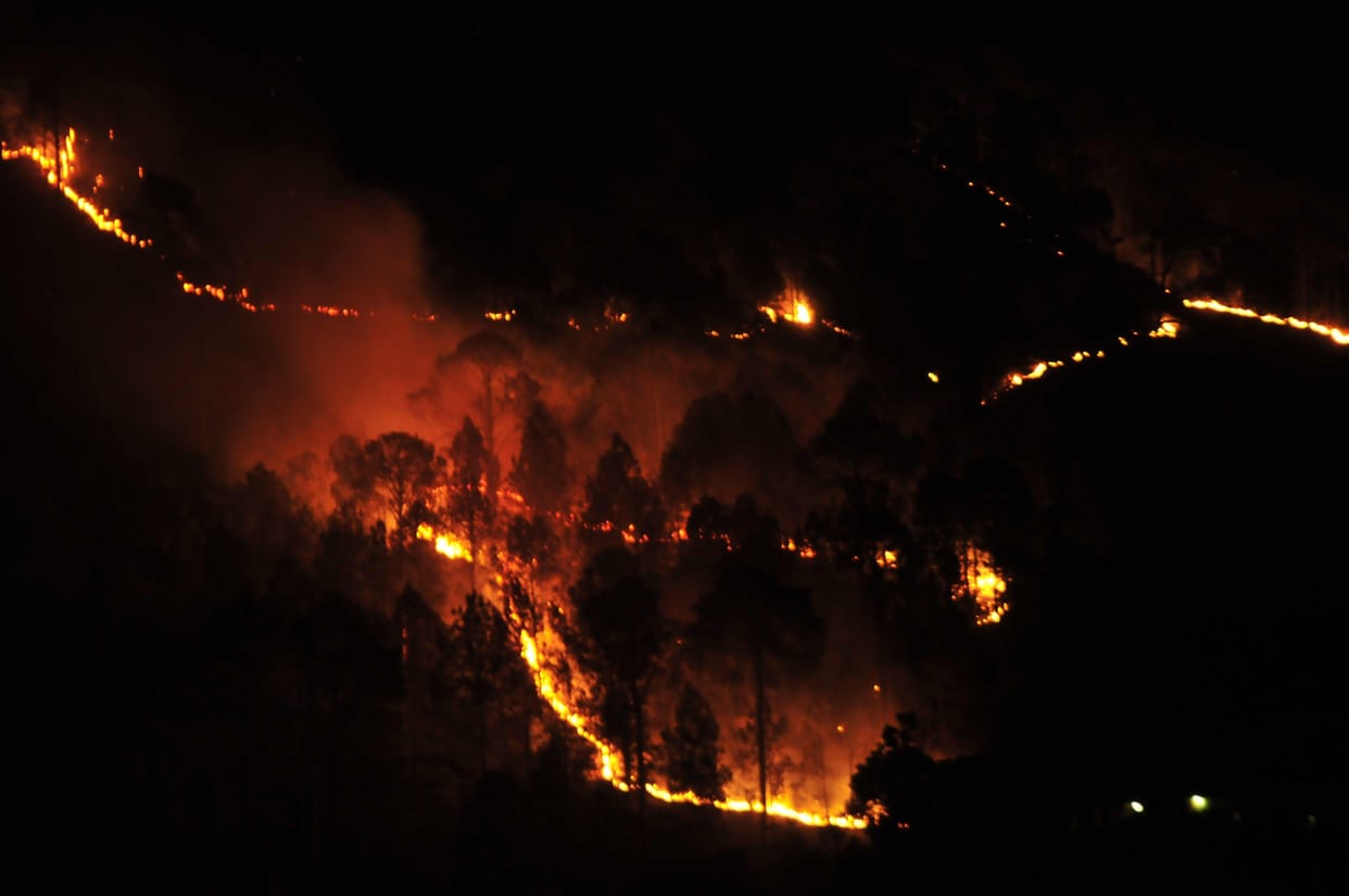 fire in uttarakhand forest