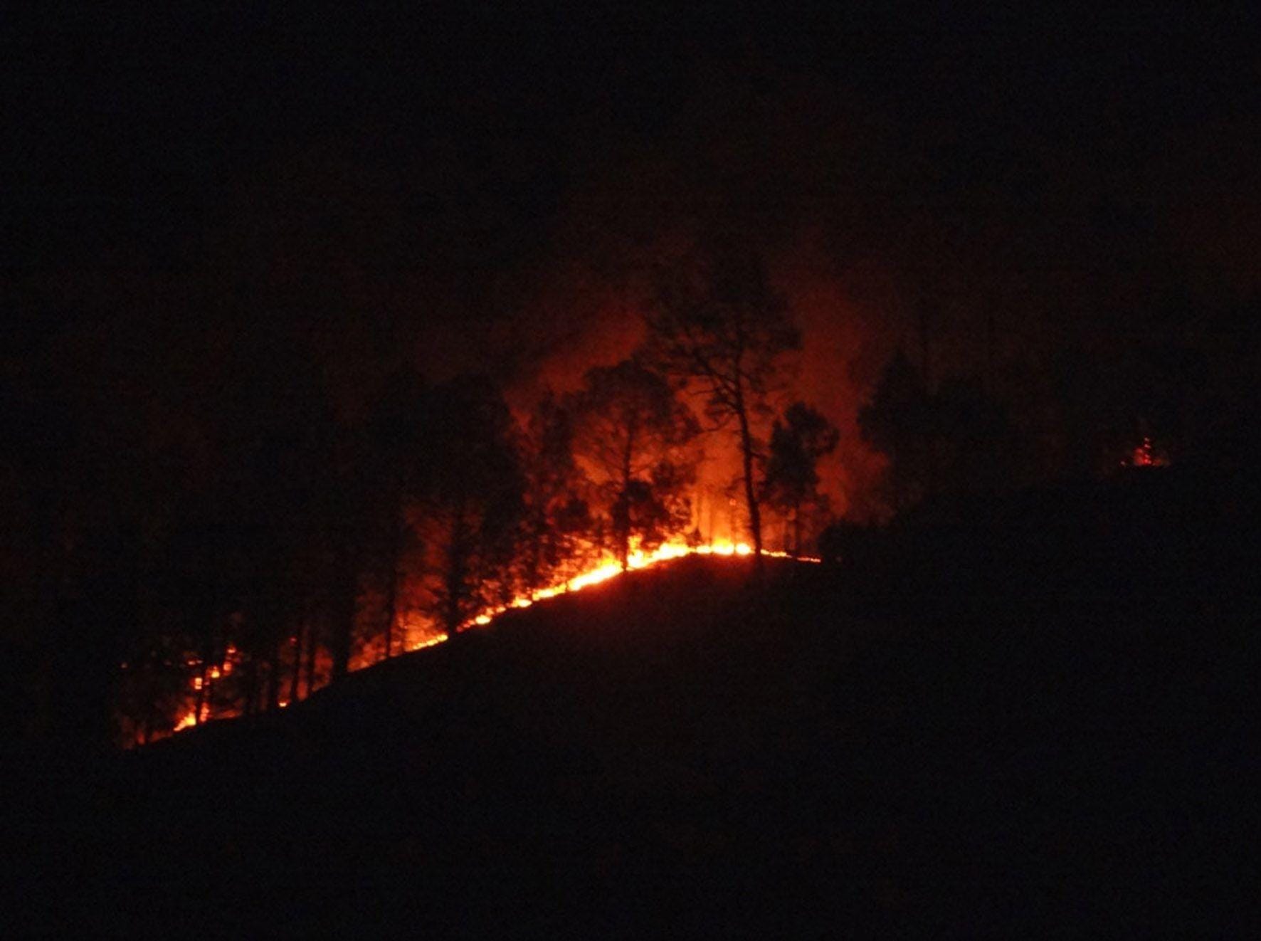 fire in uttarakhand forest