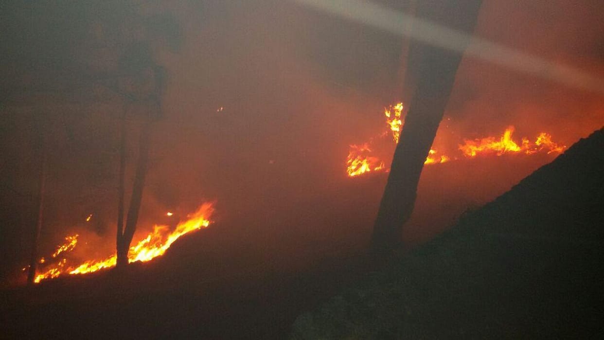 The flames reached the population