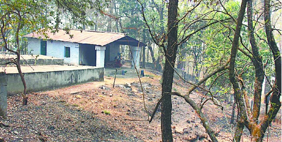 Lisa Khandadhar forest depot personnel actively avoided